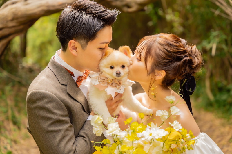 SHIENA studio_投稿写真