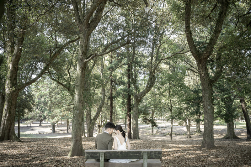 ケープ・ライト_投稿写真