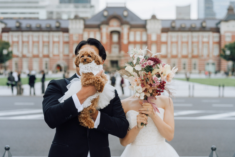 東京駅 愛犬とロケーション撮影 大満足です！_44934_投稿写真_2