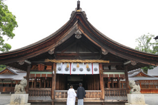 こぶたしゃしんかん_アドバイス写真