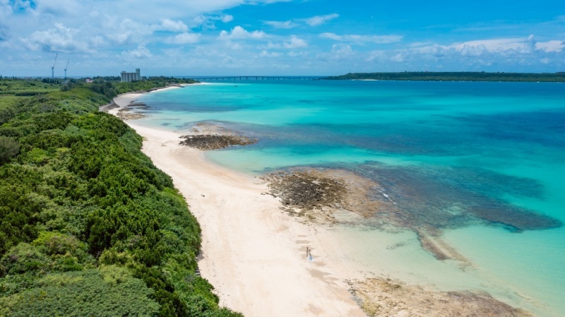 素敵な写真を撮っていただけます_53317_投稿写真_1