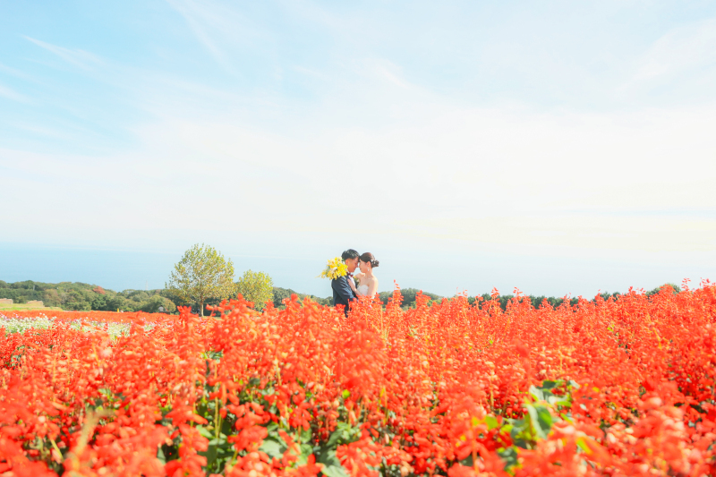 淡路島で撮影するならココ！！大満足です♪_45037_投稿写真_3
