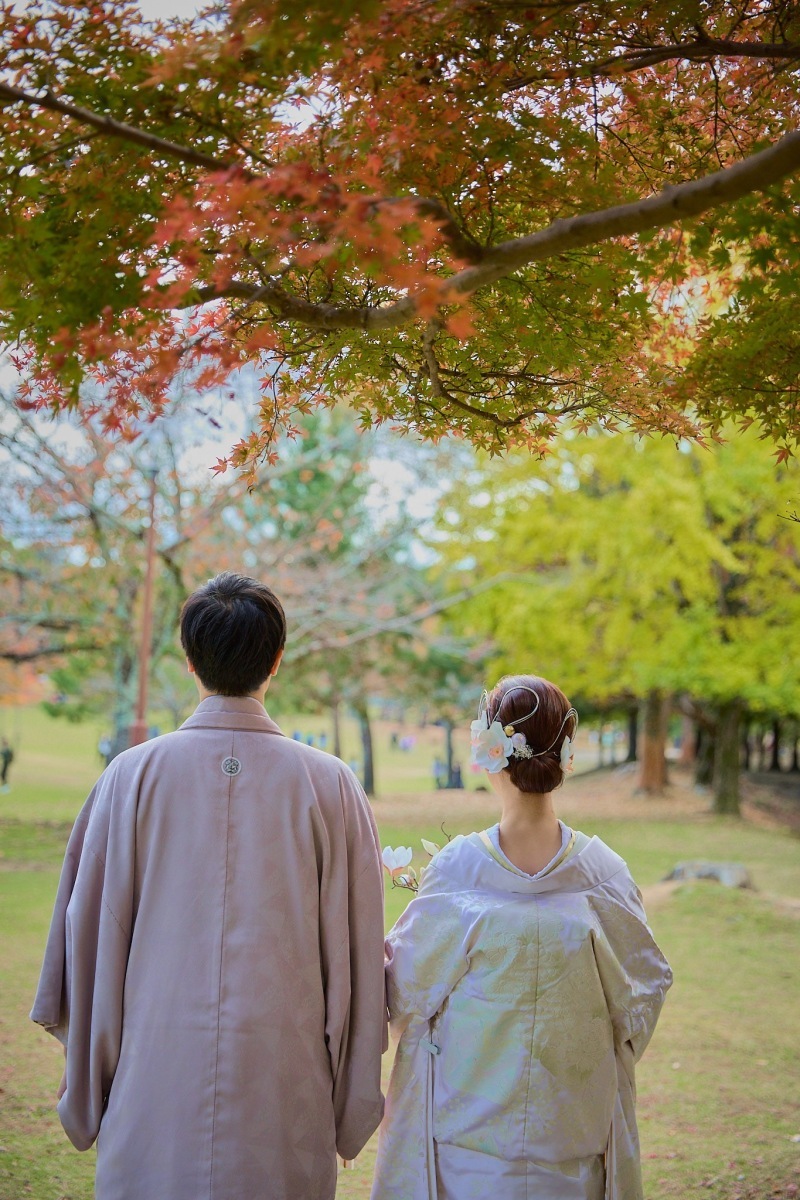 奈良公園で素敵なロケーションフォト_45051_投稿写真_1