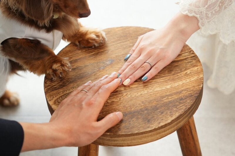 きみとわんわんPHOTO STUDIO（二子玉川本店）_投稿写真