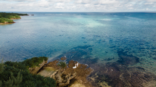 lilly wedding_アドバイス写真