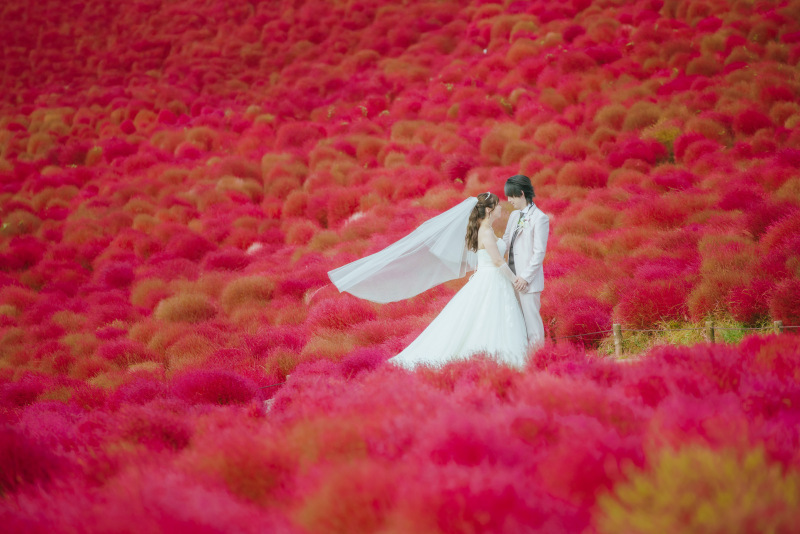 ウエディングドレス クロエ_投稿写真