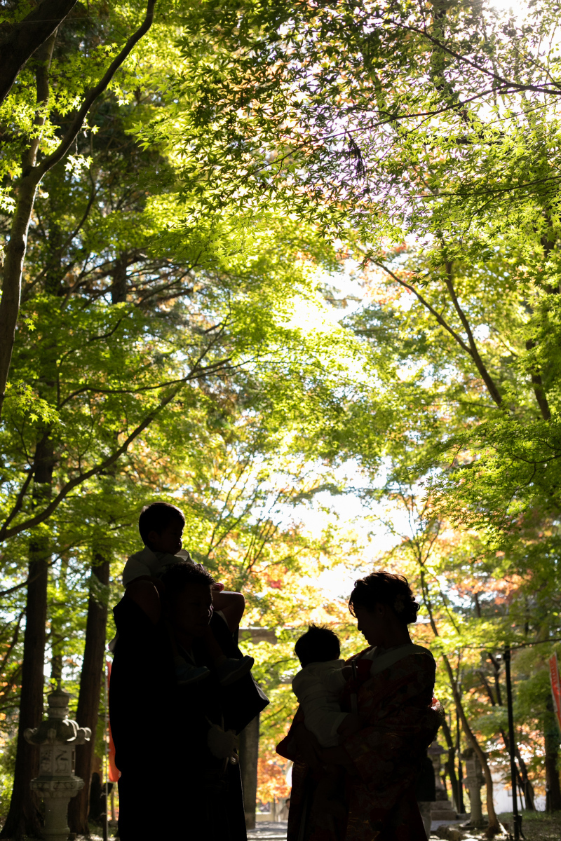 京都 あざらし堂 ー写真部ー_投稿写真