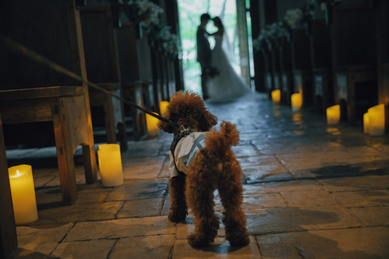 自然に囲まれた、温かみのある式場_45558_投稿写真_1