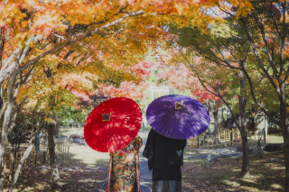 Photo Maison &eacute;crin 大阪店_アドバイス写真