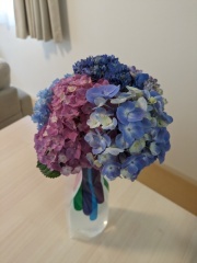 華雅苑[KAGAEN] 水戸店_アドバイス写真