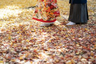 Katakura Photo Office　京都・北山_アドバイス写真
