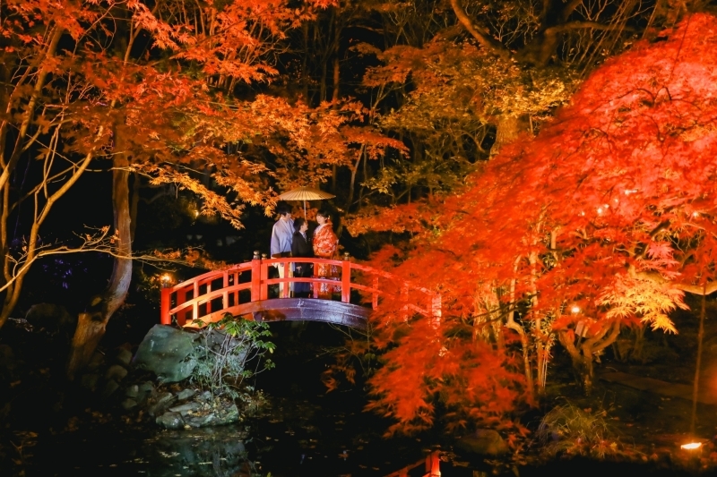 Photo Studio Lily_投稿写真