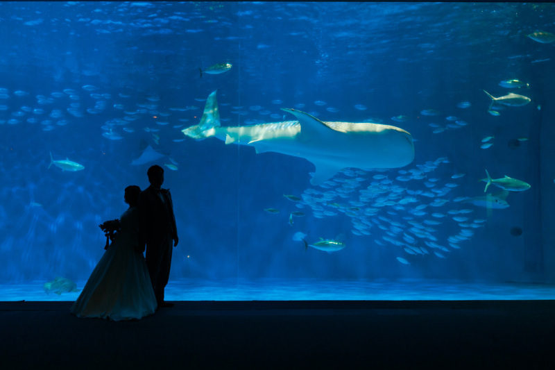 カンマチスタジオ_投稿写真