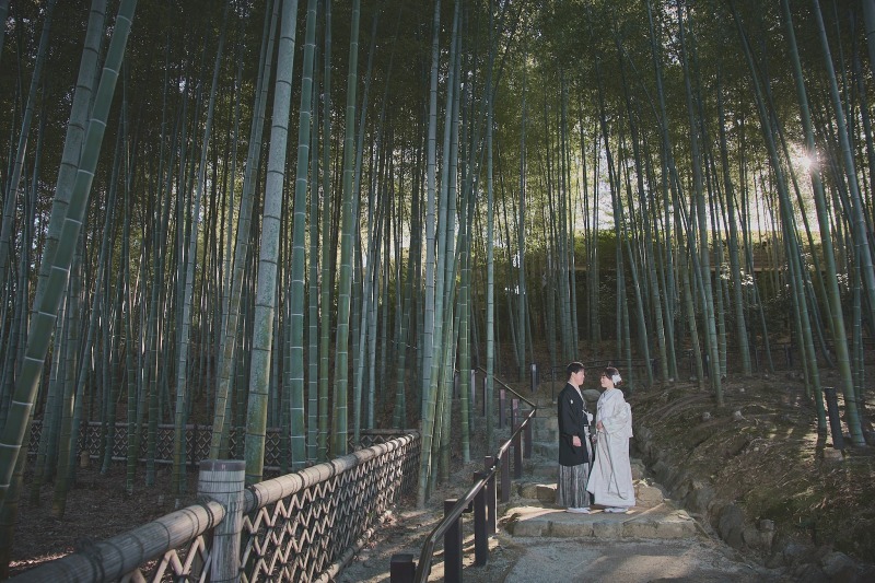 楽しく奈良で撮影したい方ならぜひ！_46171_投稿写真_3