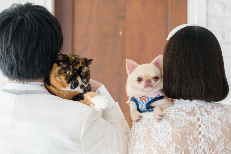 写真だけの結婚式　ecoo（エクー）_投稿写真
