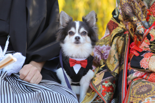 ストーリーテラー　京都サロン_アドバイス写真