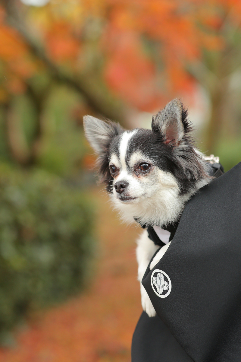 ストーリーテラー　京都サロン_投稿写真