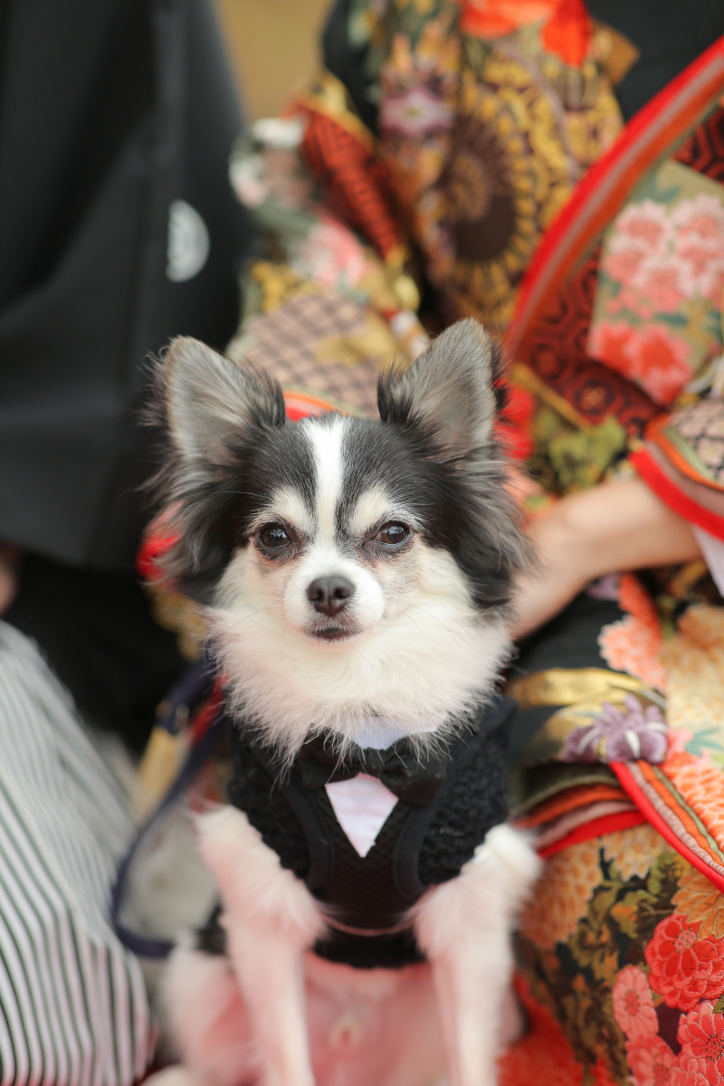 ストーリーテラー　京都サロン_投稿写真