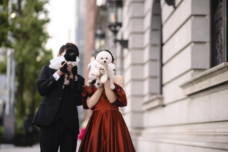 東京駅ロケがとっても綺麗！ペットとの撮影もおすすめです◎_46261_投稿写真_2