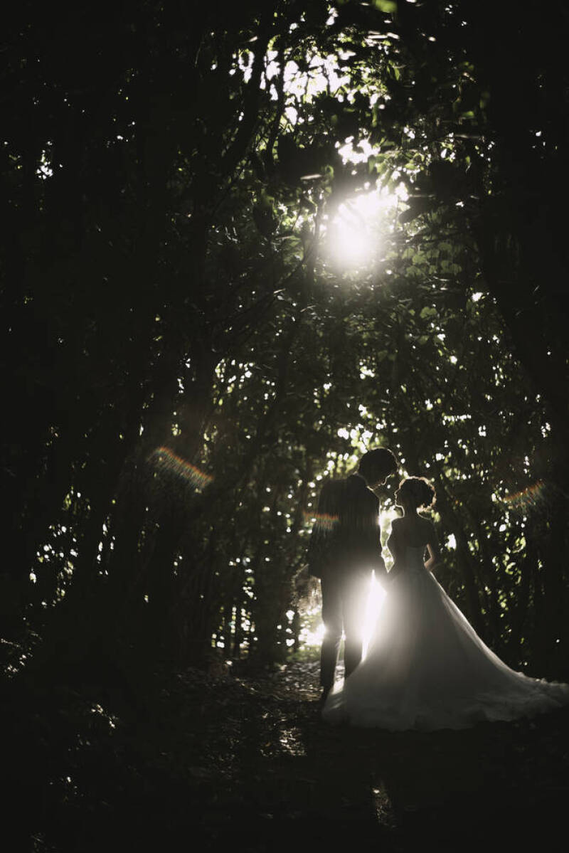 【PREMIUM 1DAY】人気4スポットを巡る贅沢な1日_46284_投稿写真_1