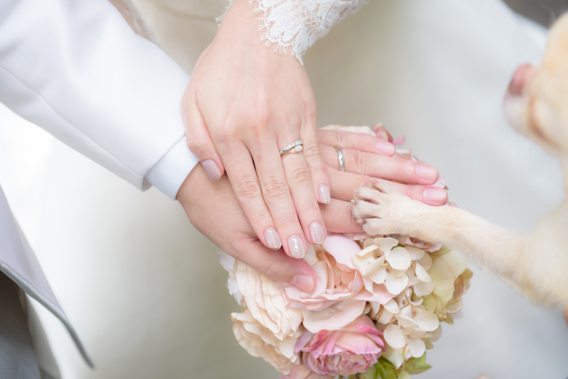 写真だけの結婚式　ecoo（エクー）_投稿写真