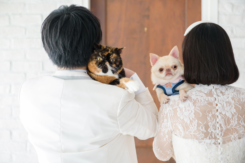 写真だけの結婚式　ecoo（エクー）_投稿写真