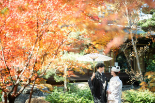 Katakura Photo Office　京都・北山_アドバイス写真