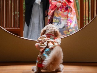 Sereno邸 photo&movie白金_アドバイス写真