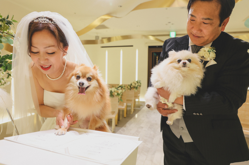 小さな結婚式　大宮店_投稿写真