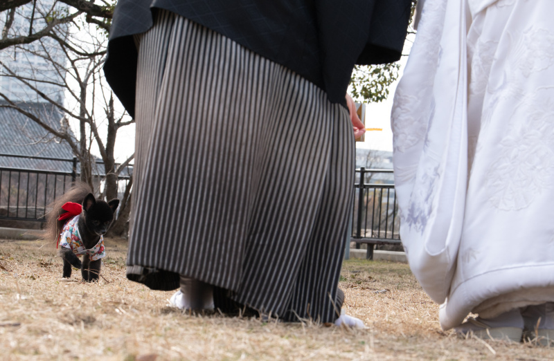 前撮り結婚式.com 縁photo _投稿写真