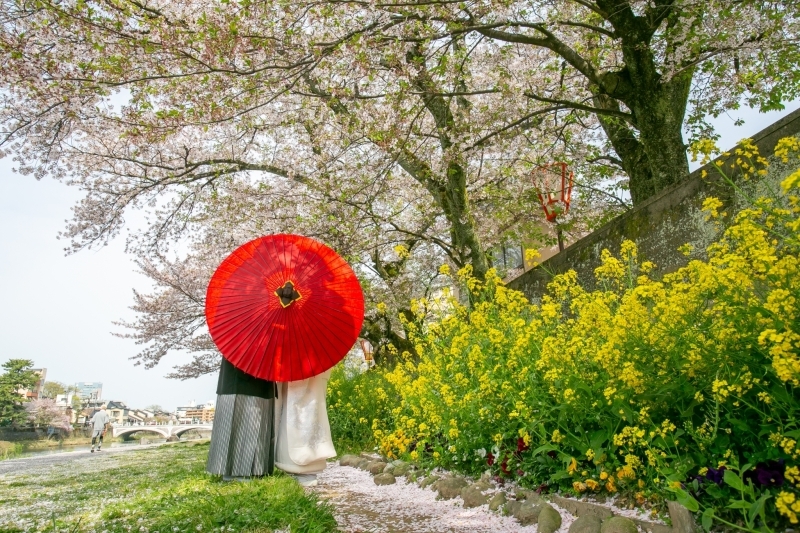 フォトスタジオ カクタス_投稿写真