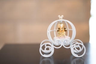 ヴィラ・アンジェリカ_アドバイス写真