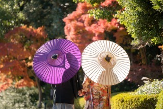 華雅苑　千葉店_アドバイス写真