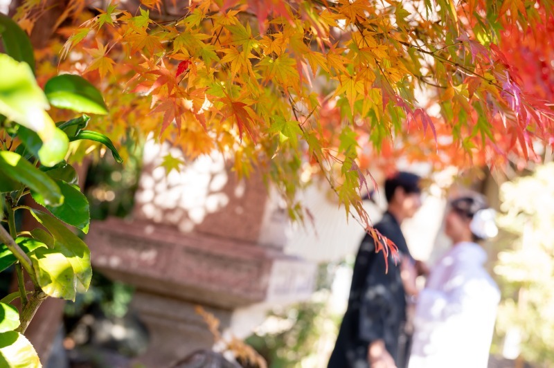 華雅苑　千葉店_投稿写真