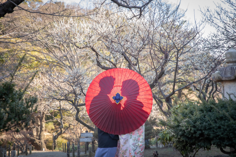 華雅苑 横浜店_投稿写真
