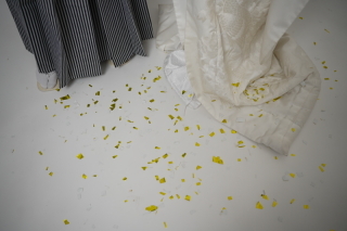 INAI WEDDING WASOU 東京浅草本店_アドバイス写真