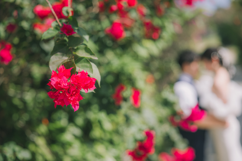 BEREL 石垣島 Photo & Movie_投稿写真