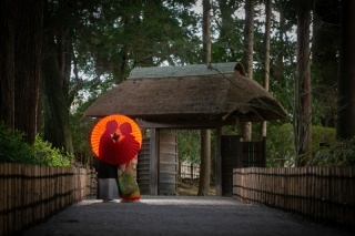 ル・トレフル produced by スタジオエス_アドバイス写真