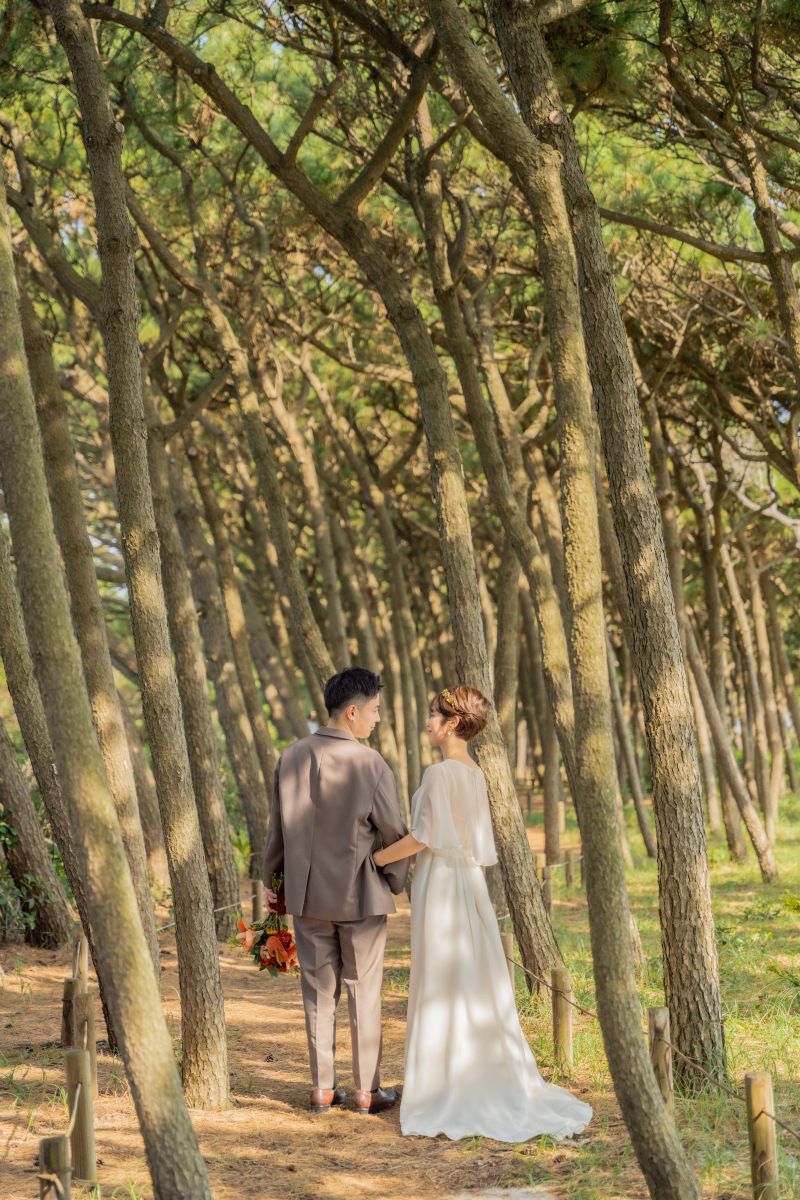 SHIENA studio_投稿写真