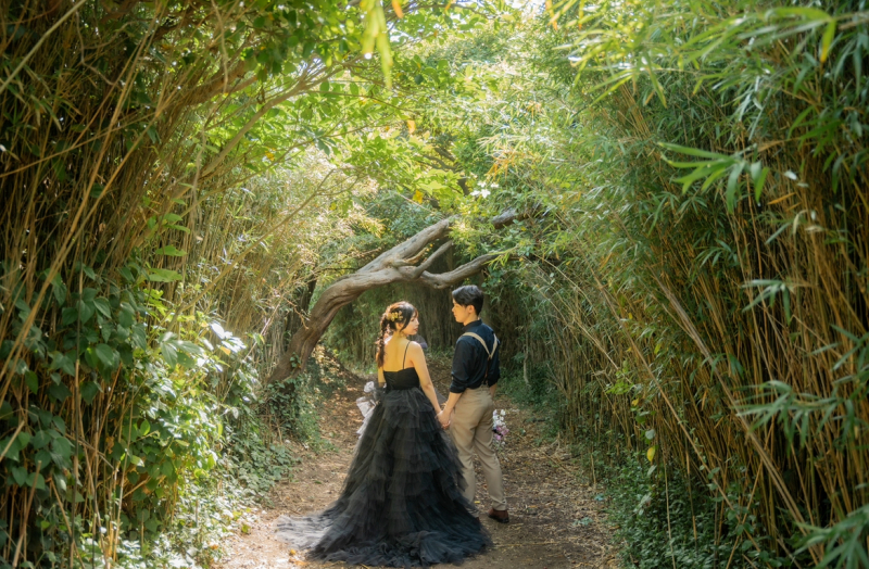 SHIENA studio_投稿写真