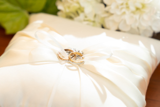 サンライズ・デジタル_アドバイス写真