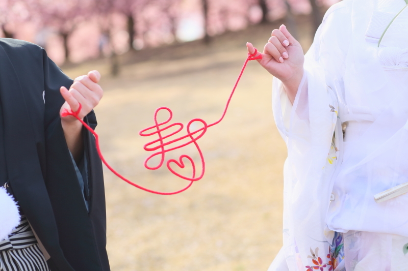 桜の時期のロケーション撮影が最高！_47360_投稿写真_1