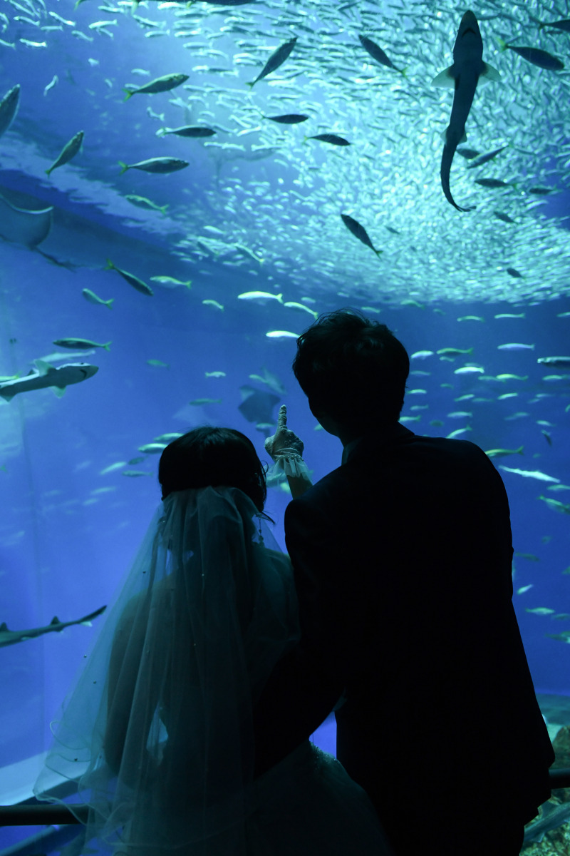 コスパ最高◎迷っていたら是非！_47452_投稿写真_1