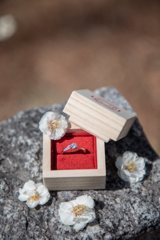 京都 あざらし堂 ー写真部ー_アドバイス写真