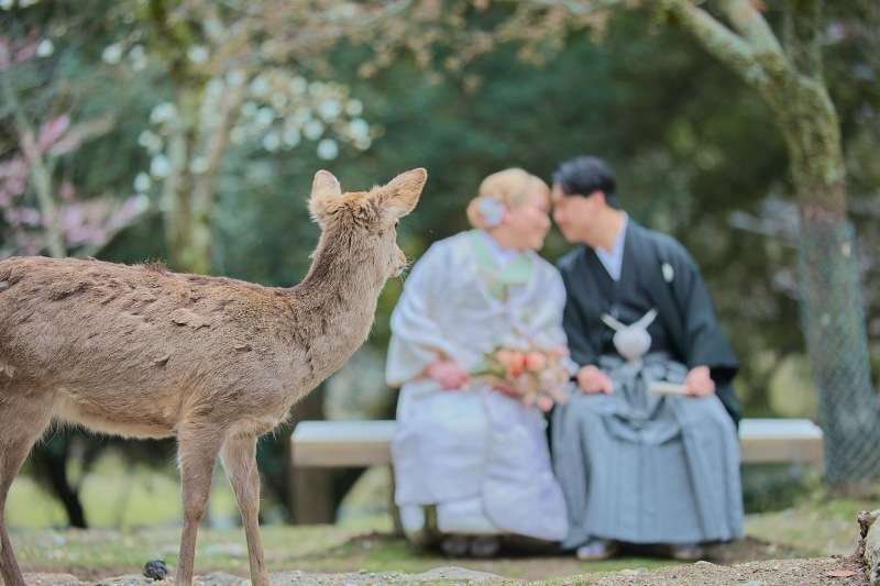 【奈良ロケ撮影】鹿と撮影◎サービス満点で撮ってくれました_47489_投稿写真_3