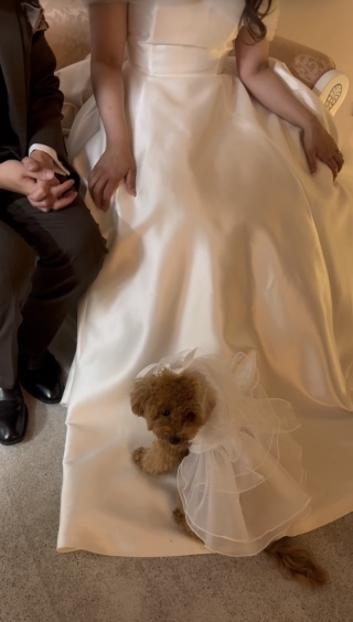 studioCharmant_アドバイス写真