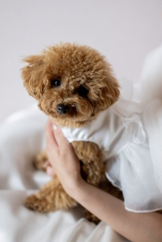 studioCharmant_アドバイス写真