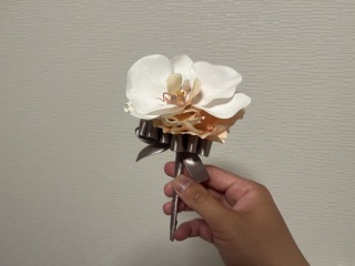 studio marry_アドバイス写真