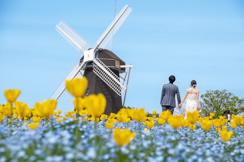 前撮り結婚式.com 縁photo _投稿写真