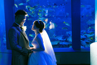 MaiBRIDE　津／ノードダモーレ　津_アドバイス写真